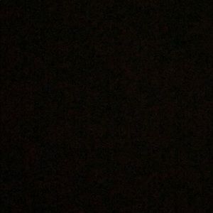 Meet your Posher, Angeli